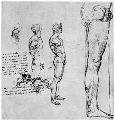 Anghiari战役的裸体研究，c1503-1505，1954年 作者 达芬奇（Leonardo da Vinci）