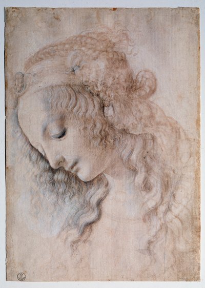 女孩的肖像 - 绘画 作者 达芬奇（Leonardo da Vinci）