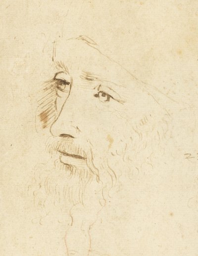 达芬奇的画像，约1518年。 作者 列奥纳多·达·芬奇，
