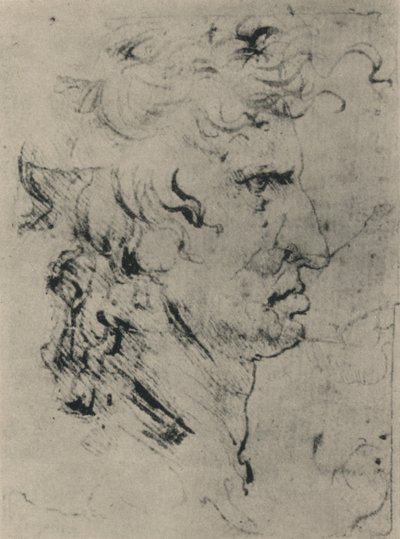 一个右边的人的简介，c1480 1945 作者 达芬奇（Leonardo da Vinci）