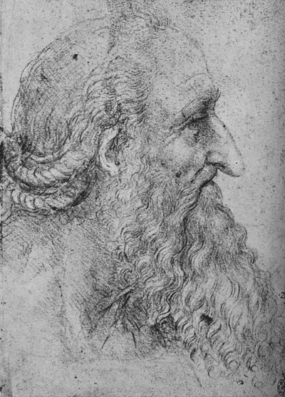 右大胡子老人的简介，c1480 1945年 作者 达芬奇（Leonardo da Vinci）