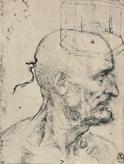 秃头男子的头像，c1480 1945年 作者 达芬奇（Leonardo da Vinci）
