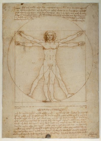 根据维特鲁威的人形比例方案 作者 达芬奇（Leonardo da Vinci）