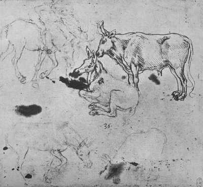 驴和牛的研究，c1480 1945年 作者 达芬奇（Leonardo da Vinci）