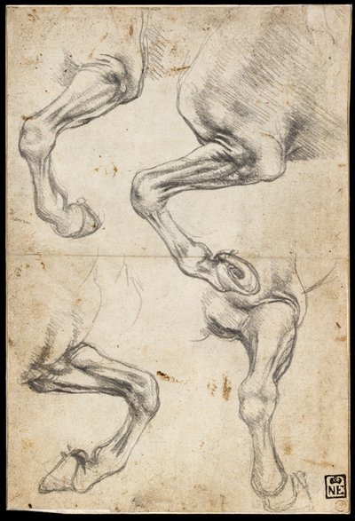 马腿研究 作者 达芬奇（Leonardo da Vinci）