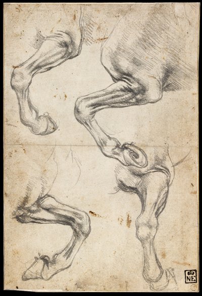 马腿研究 作者 达芬奇（Leonardo da Vinci）