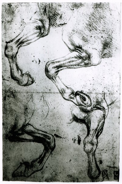 研究马腿（笔和墨水在纸上） 作者 达芬奇（Leonardo da Vinci）