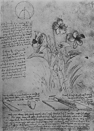 中提琴的研究和铅屋顶的焊接方法，c1480 1945 作者 达芬奇（Leonardo da Vinci）