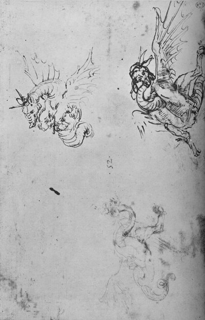 龙的研究，c1480 1945年 作者 达芬奇（Leonardo da Vinci）