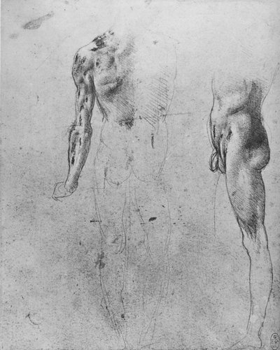 从背面和侧面看裸体男人的研究，c1480 1945年 作者 达芬奇（Leonardo da Vinci）