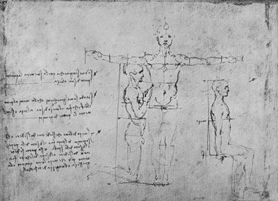 三个数字比例的研究，c1480，1945年 作者 达芬奇（Leonardo da Vinci）