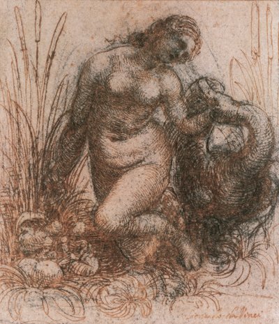 达芬奇（1452-1519）的《莱达和天鹅研究》，图画 作者 达芬奇（Leonardo da Vinci）