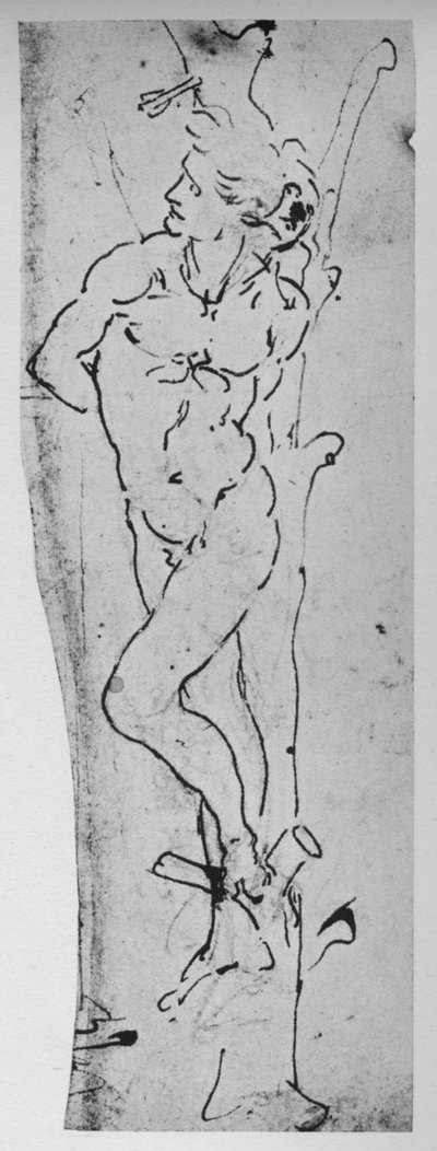 研究圣塞巴斯蒂安，c1480 1945年 作者 达芬奇（Leonardo da Vinci）