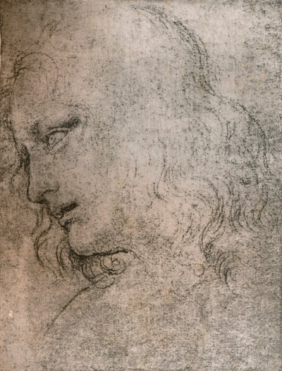 在`The Last Supper`，c1494-c1499 1883中研究圣菲利普的头。 作者 达芬奇（Leonardo da Vinci）