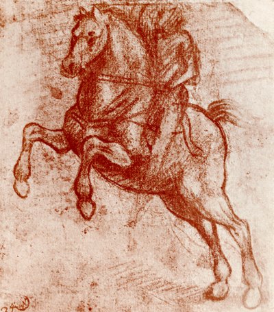 莱昂纳多·德·芬奇，《研究骑士》，1913年 作者 达芬奇（Leonardo da Vinci）