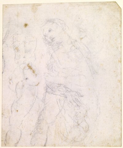 圣母的研究[背面] 作者 达芬奇（Leonardo da Vinci）