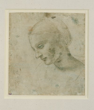 女人的头部几乎是侧面... 作者 达芬奇（Leonardo da Vinci）