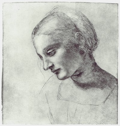 麦当娜的头，c1484-1486 作者 Leonardo da Vinci