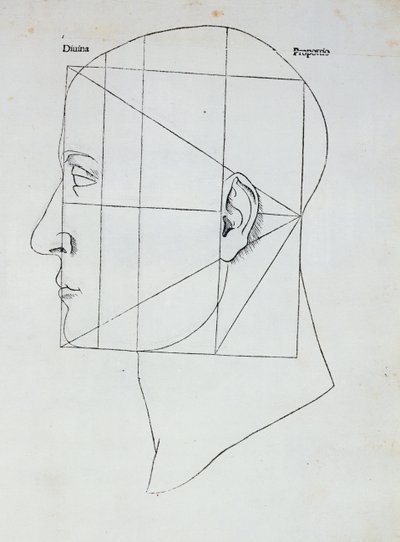 人头，Luca Pacioli（1445-1517）的“Divina Proportione”插图，1509 作者 达芬奇（Leonardo da Vinci）