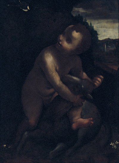婴儿浸礼会圣约翰 作者 达芬奇（Leonardo da Vinci）