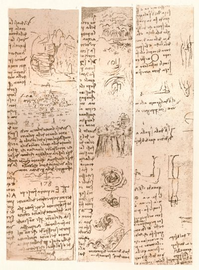 三幅图，c1472-c1519 1883 作者 达芬奇（Leonardo da Vinci）