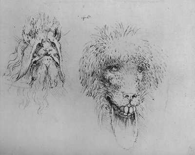 两只怪物的头，c1480 1945年 作者 达芬奇（Leonardo da Vinci）