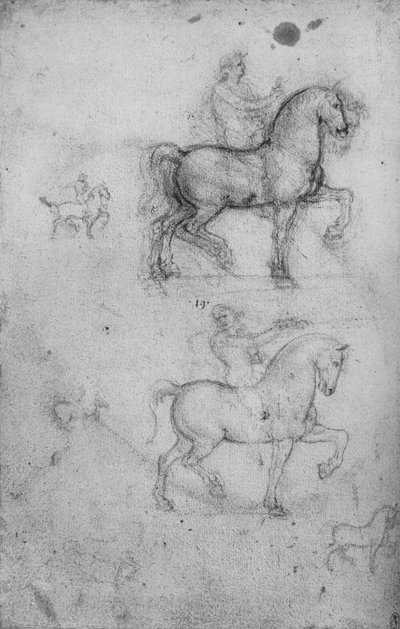 马与骑手的两项研究和马的小型研究，c1480 1945年 作者 达芬奇（Leonardo da Vinci）