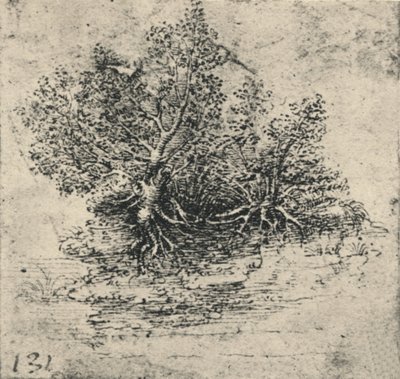 溪岸两棵树，c1480 1945年 作者 达芬奇（Leonardo da Vinci）