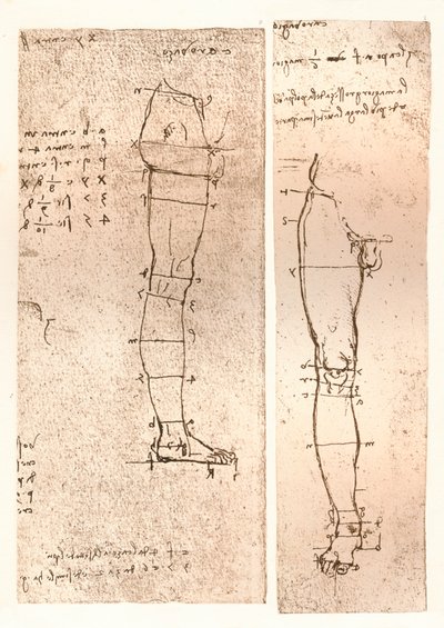 两幅图说明了人物比例的理论，c1472-c1519 1883 作者 达芬奇（Leonardo da Vinci）