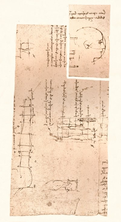 两幅图说明了人物比例的理论，c1472-c1519 1883 作者 达芬奇（Leonardo da Vinci）