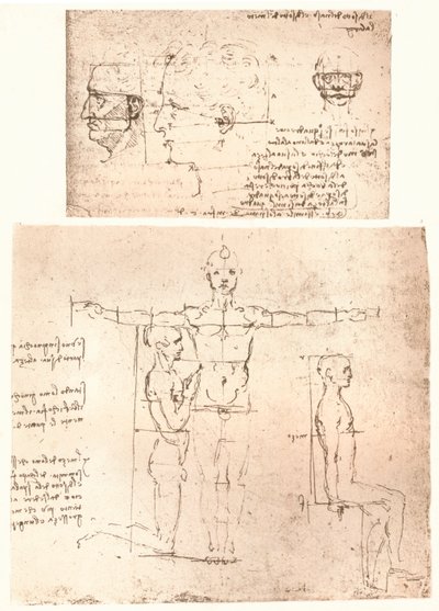 两幅图说明了人物比例的理论，c1472-c1519 1883。 作者 达芬奇（Leonardo da Vinci）