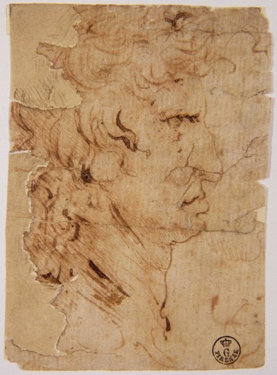 图片不明 作者 达芬奇（Leonardo da Vinci）