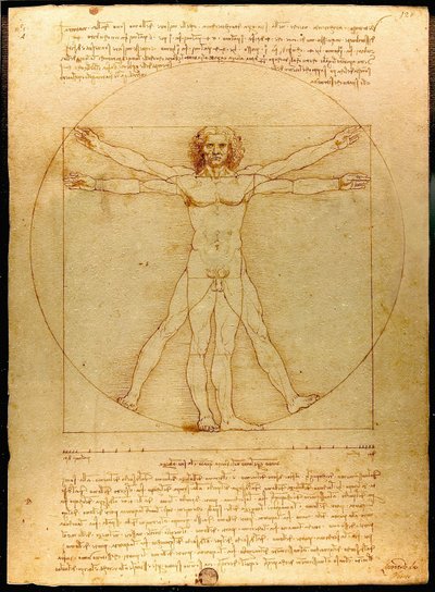 维特鲁威人 作者 达芬奇（Leonardo da Vinci）