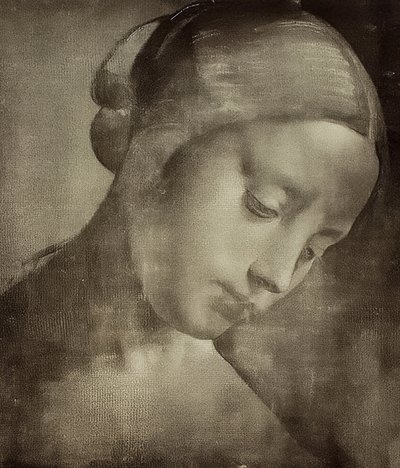 女头大约1470-1519 作者 达芬奇（Leonardo da Vinci）