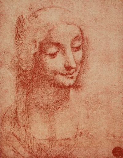 女人的脸，由列奥纳多·达·芬奇绘制。 威尼斯学院美术馆 作者 达芬奇（Leonardo da Vinci）