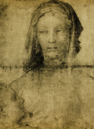 对圣母的研究;来自莱昂纳多学院的绘画。巴黎的卢浮宫 作者 达芬奇学校