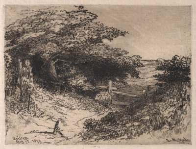 马萨诸塞州巴恩斯特布尔县奎赛特，1879年。 作者 乐华弥尔顿耶鲁