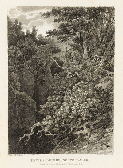 魔鬼桥，北威尔士（蚀刻版画） 作者 莉蒂西亚·伯恩