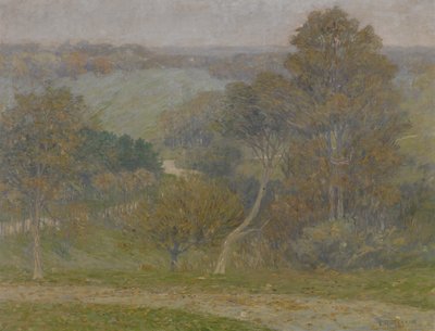 山与空谷，约 1896 年（布面油画） 作者 刘易斯·亨利·米金