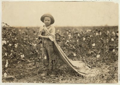1916年，6岁的沃伦弗雷克斯在俄克拉荷马州科曼奇县的包里装了大约20磅的棉花 作者 刘易斯·威克斯·海恩
