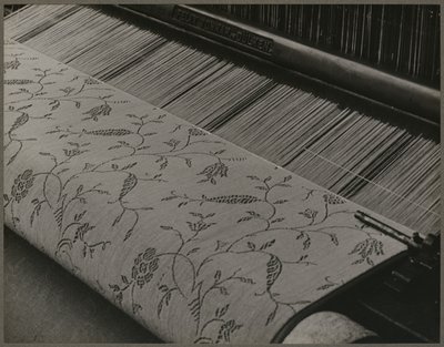  作者 刘易斯·威克斯·海恩