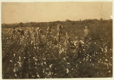 家庭在1913年德克萨斯州麦金尼附近采摘棉花 作者 刘易斯·威克斯·海恩