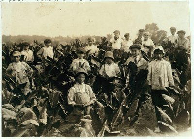 古德里奇烟草农场，1917年，康涅狄格州吉尔德斯利附近 作者 刘易斯·威克斯·海恩