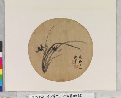 兰花盛开 作者 李晨