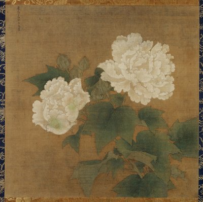 白芙蓉 作者 李Di