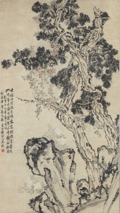 柏树峰。 作者 李山