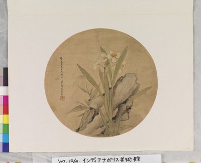 水仙和岩石》，日期不详（绢或纸扇上的水墨和色彩画。） 作者 梁玉伟