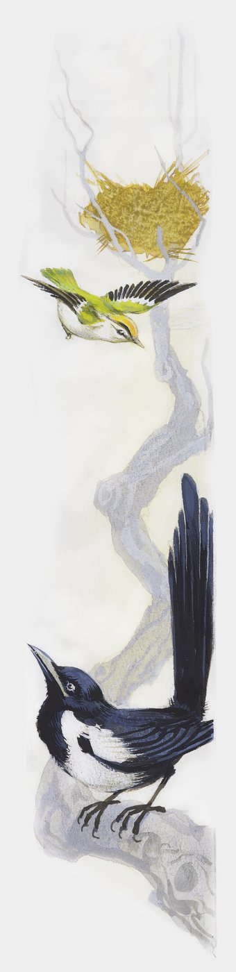 鸟在树上筑巢，喜鹊在树枝下观察，画画 作者 未知未知