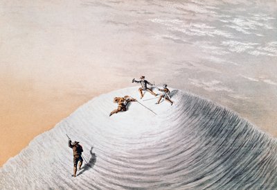 约翰-麦克格雷格在勃朗峰顶上，插图来自9月21日的《勃朗峰登顶记》。 作者 未知未知