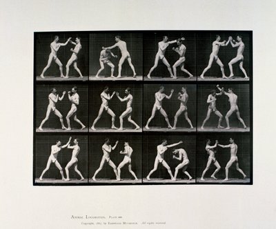 裸体男运动员拳击，c 1872-1885 作者 未知未知